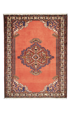 Handmade Rug In Wool & Copper base color Hamadan | 158×119 cm | 2 square 