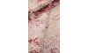 Red Rock | Wool Cream & Red Modern Persian Rug | 300×200 cm 