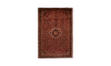 Handmade Rug In Wool in Copper base color Hamadan (315×210 cm)